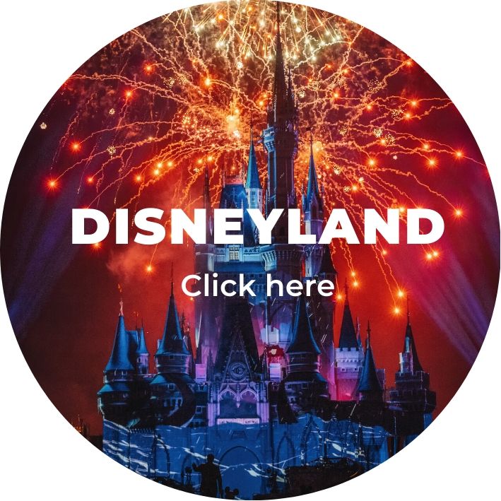 Disneyland holiday with Family