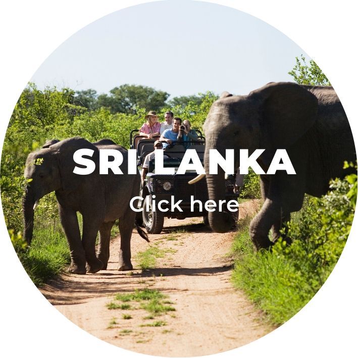 Tours in Sri Lanka