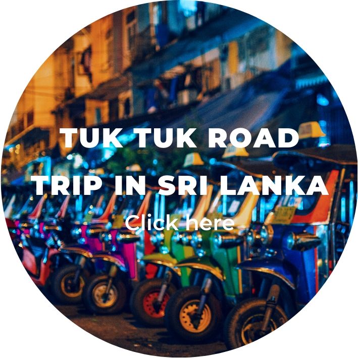several colourful tuk tuks in sri lanka on backpacking tours