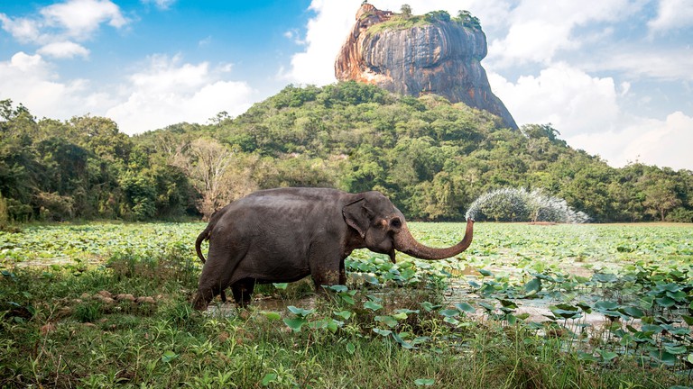 Sigiriya Rock Fortress