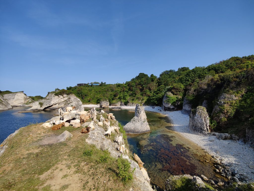 Kilimli beach Agva